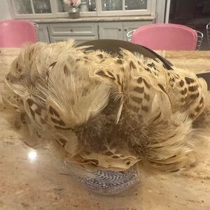 Tracey Tooker Feather and Brown Felt Hat